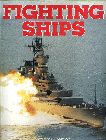 Image for Fighting Ships