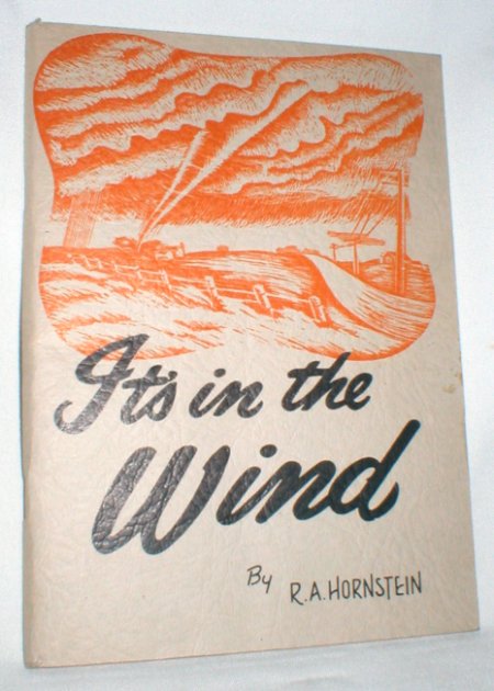 Image for It's in the Wind