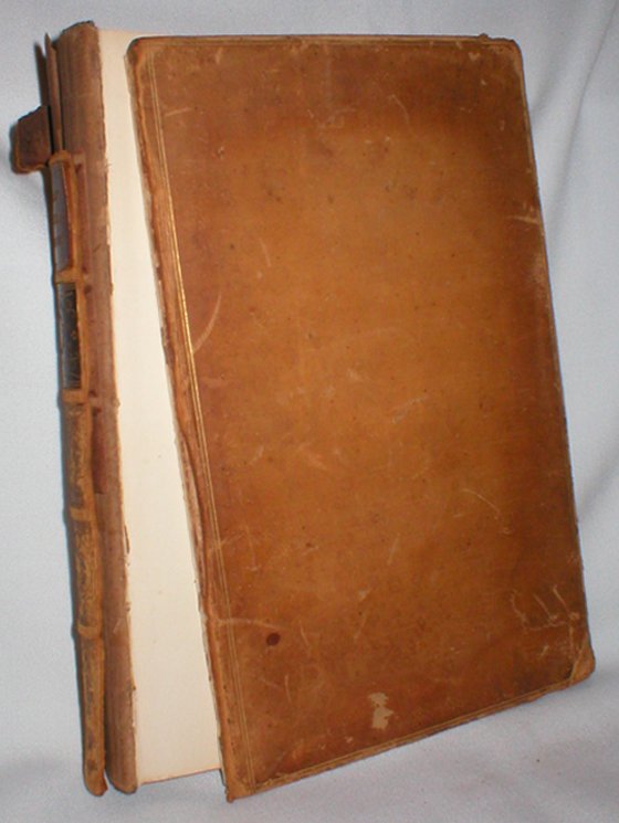 Image for Parochial Sermons; Vol. I