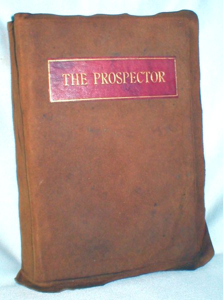 Image for The Prospector; A Tale of the Crow's Nest Pass