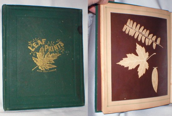 Image for Leaf Prints: Or Glimpses at Photography