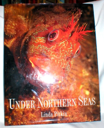 Image for Under Northern Seas