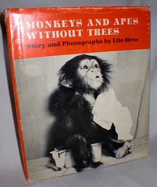 Image for Monkeys and Apes Without Trees
