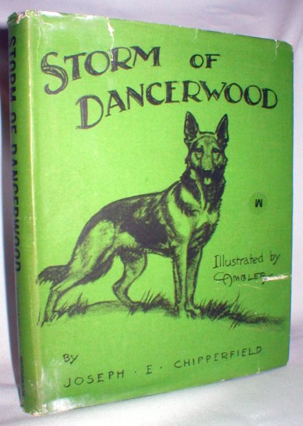 Image for Storm of Dancerwood; Chestnut Library