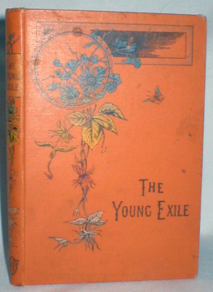 Image for The Young Exile; or the Story of a Spanish Jew
