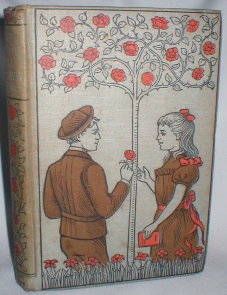 Image for The Little Old Portrait; A Story for Girls and Boys