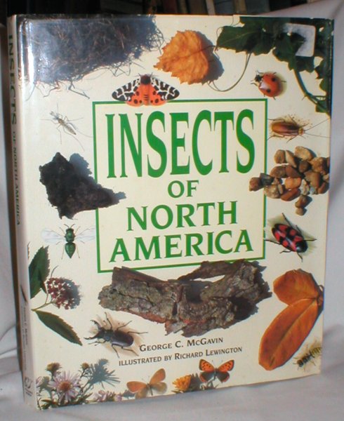Image for Insects of North America