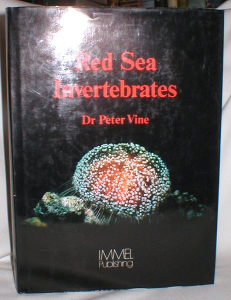 Image for Red Sea Invertebrates