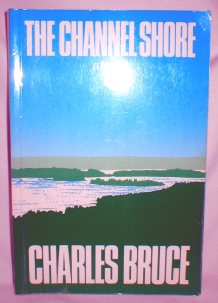 Image for The Channel Shore (A Novel)