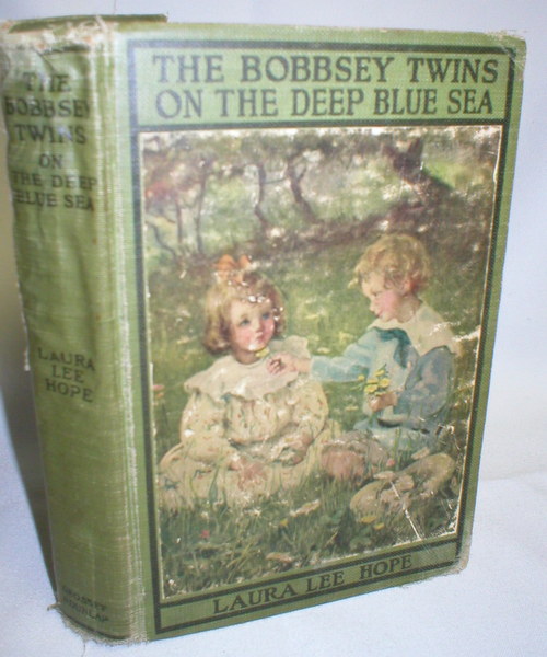Image for The Bobbsey Twins on the Deep Blue Sea