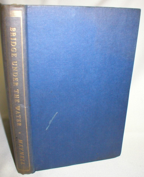 Image for Bridge Under the Water; A Story of the Age of Steam