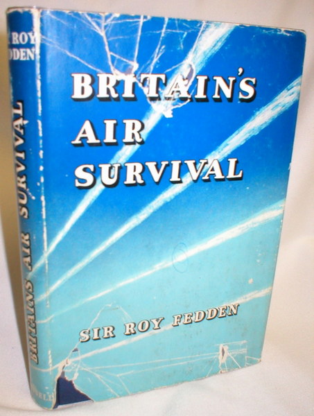 Image for Britain's Air Survival