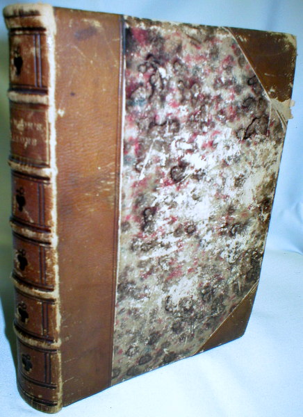 Image for The Seasons