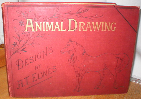 Image for Animal Drawing; A Series of Graduated Drawing Copies of Animals