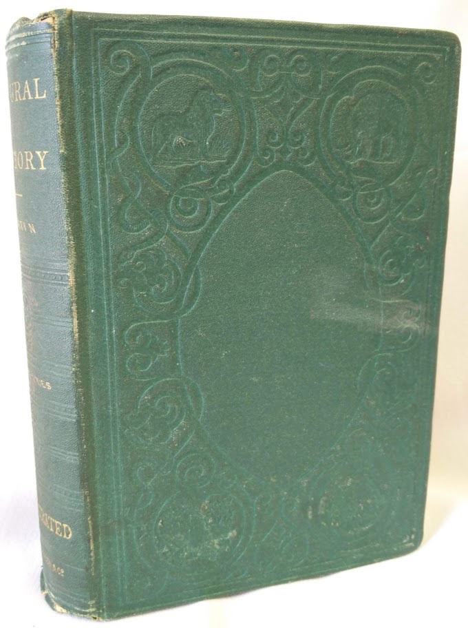 Image for Martin's Natural History; Second Series