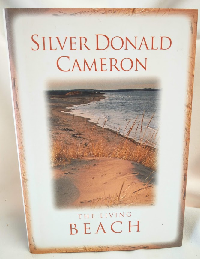 Image for The Living Beach