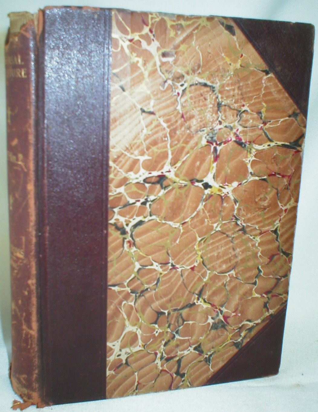 Image for A Library of Universal Literature: Roman Orators