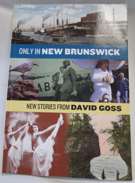 Image for Only in New Brunswick; New Stories from David Goss